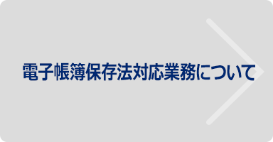 電子帳簿保存法対応業務について